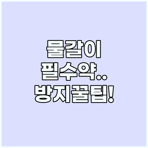 물갈이 방지를 위한 해외여행 상비약 ..