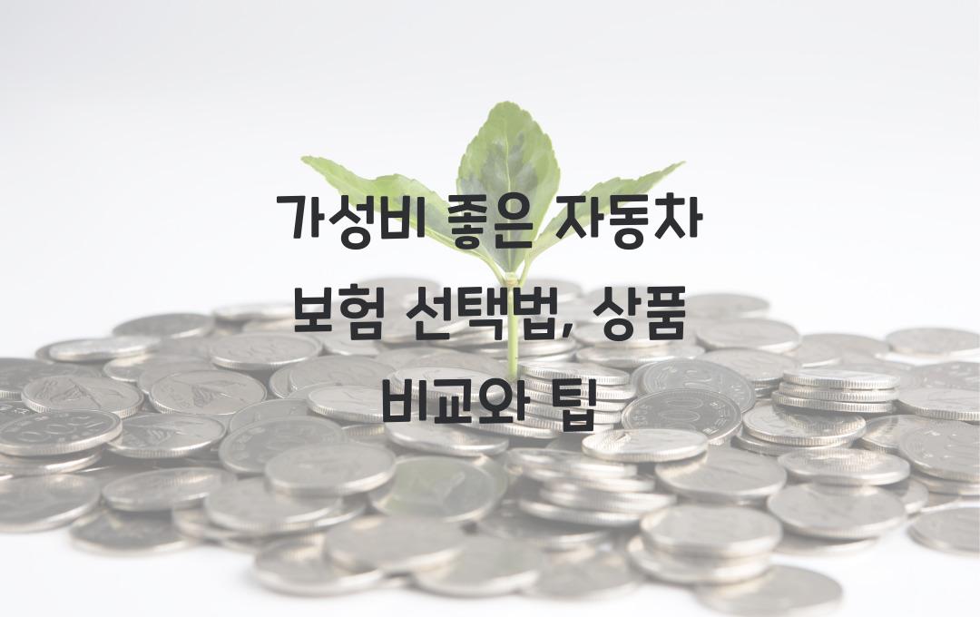 가성비 좋은 자동차 보험 선택법 (2025년 추천 상품 비교)