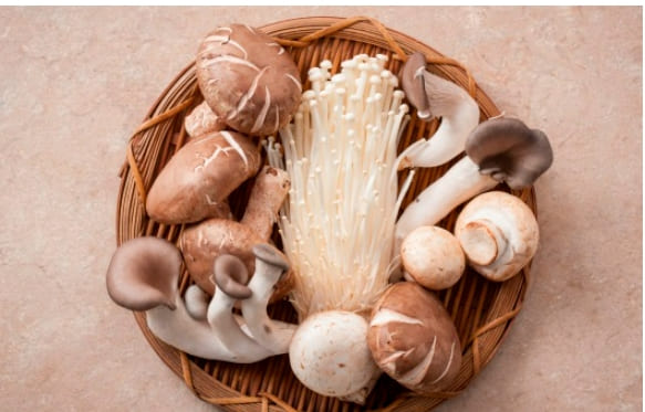 가을철 보약이라는 버섯...맛있게 먹는 법