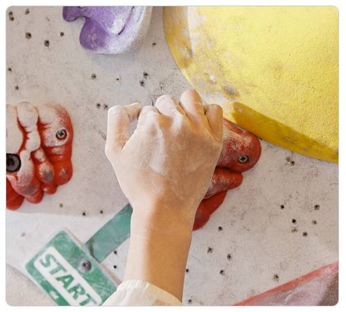 강원 세계산림엑스포