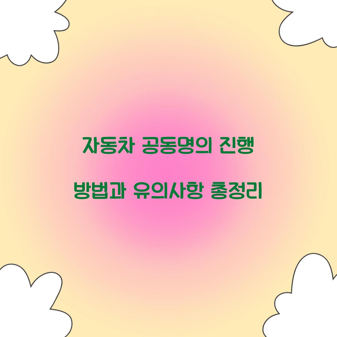 자동차 공동명의
