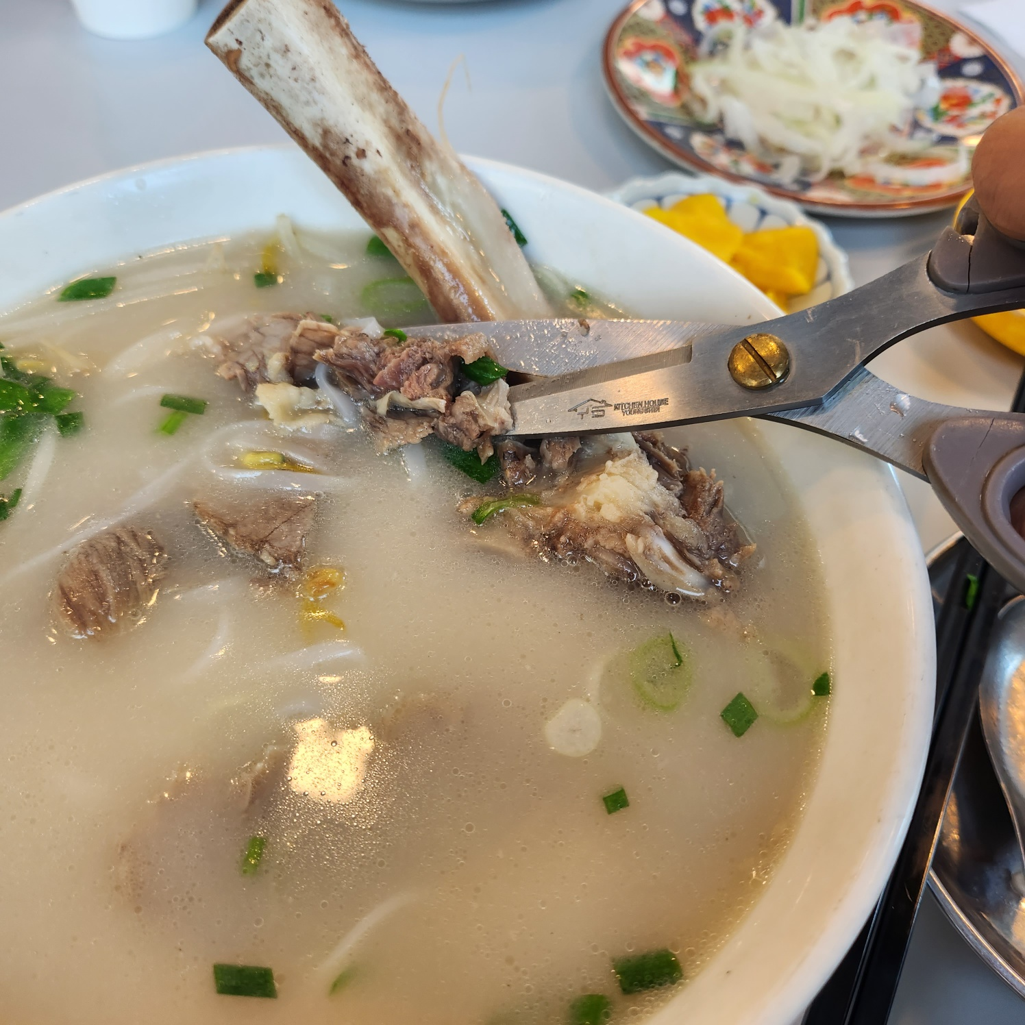 서울근교 양평 &quot;문호리쌀국수&quot; 애견동반 가능 쌀국수 찐 맛집 추천!