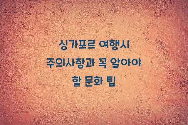 싱가포르 여행시 주의사항