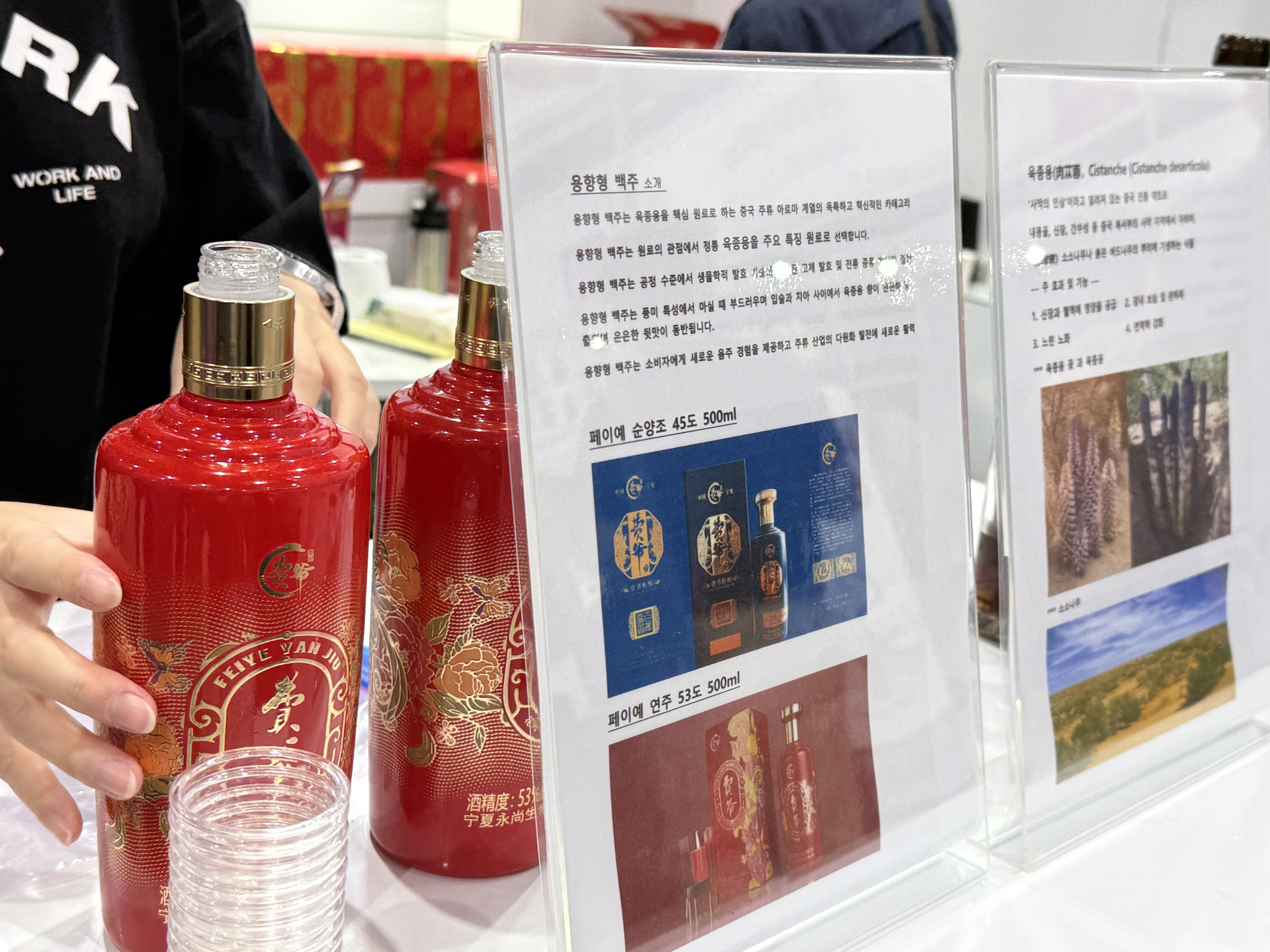 서울 국제 주류 와인박람회 2025 마곡 코엑스 현장 후기