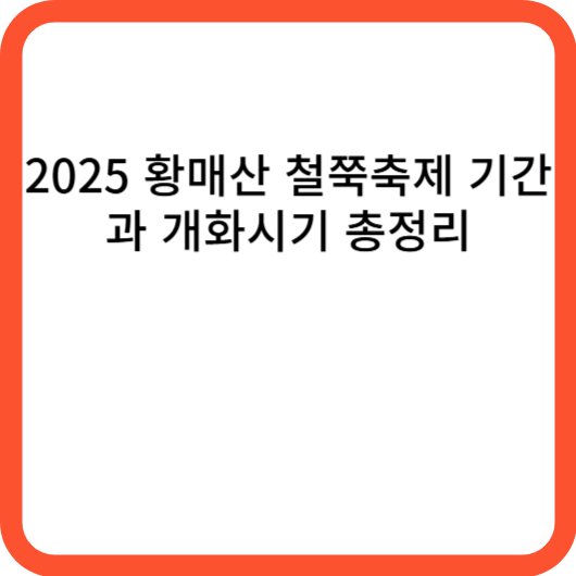 2025 황매산 철쭉축제 기간과 개화시기 총정리