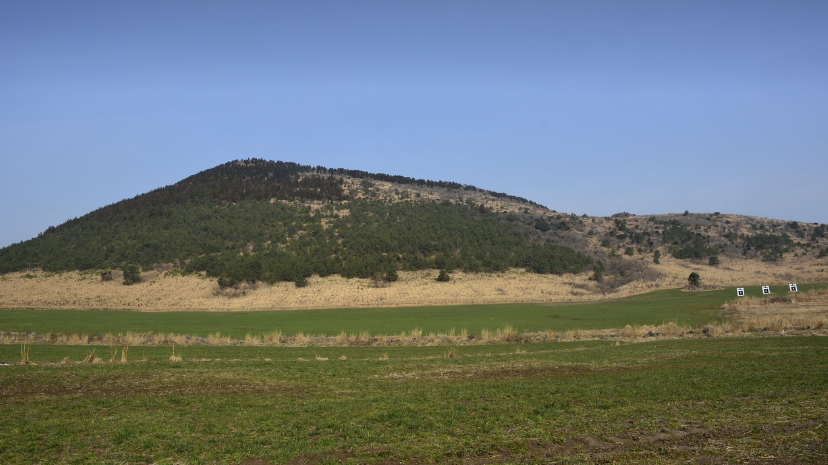 제주도 여행 완전정복 오름, 해변, 맛집