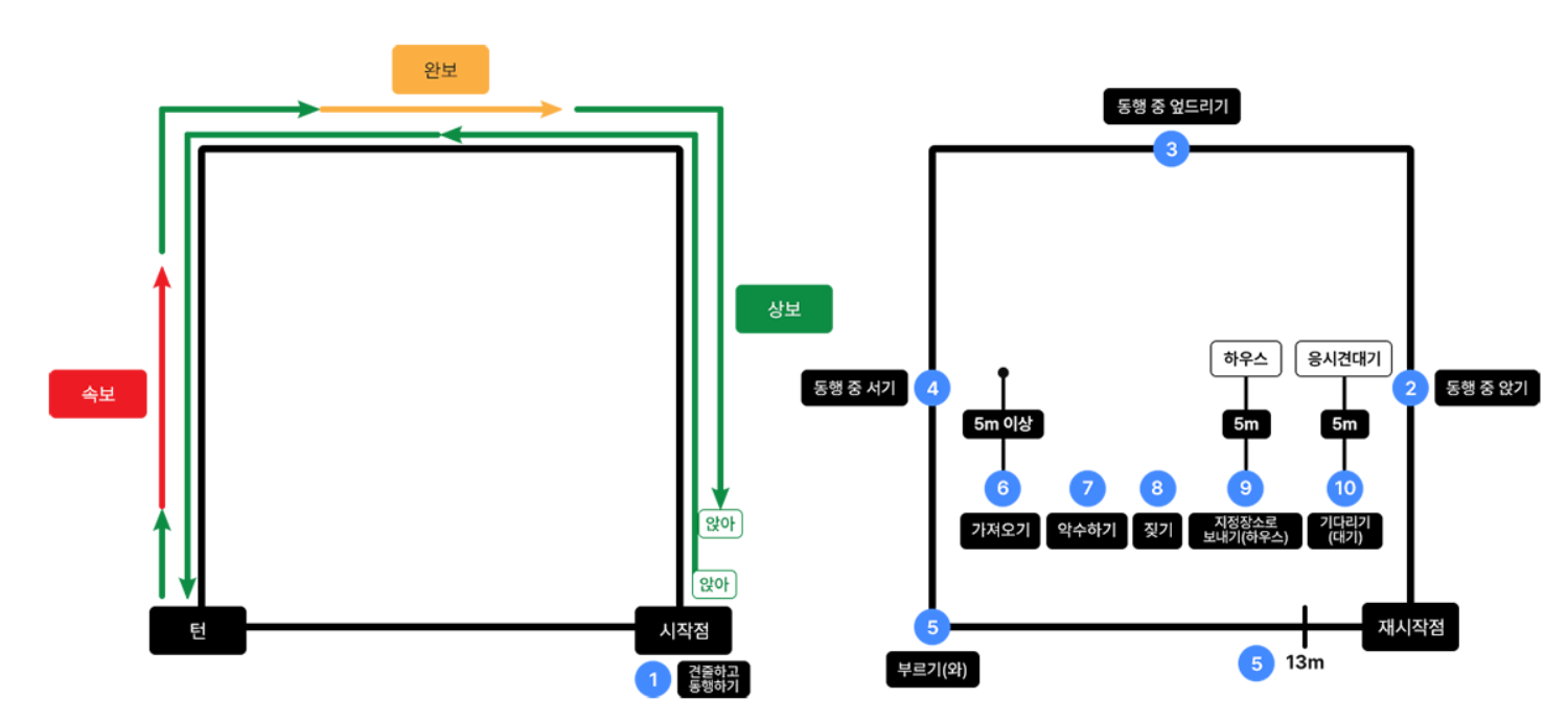 반려동물행동지도사 자격증 실기 시험 준비 방법