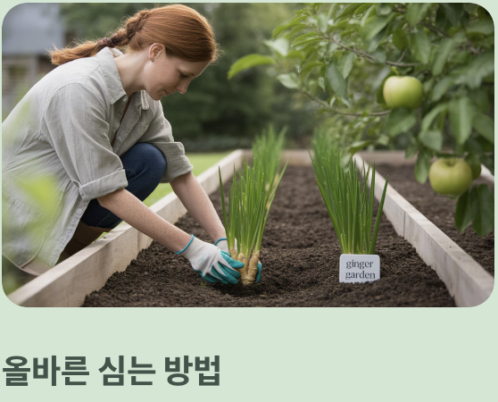 풍성한 수확을 위한 마지막 팁