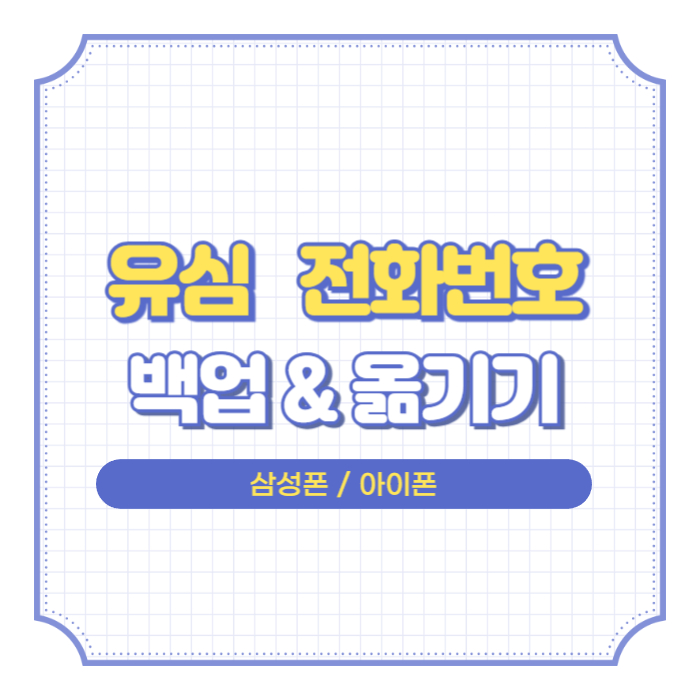 유심 옮기기