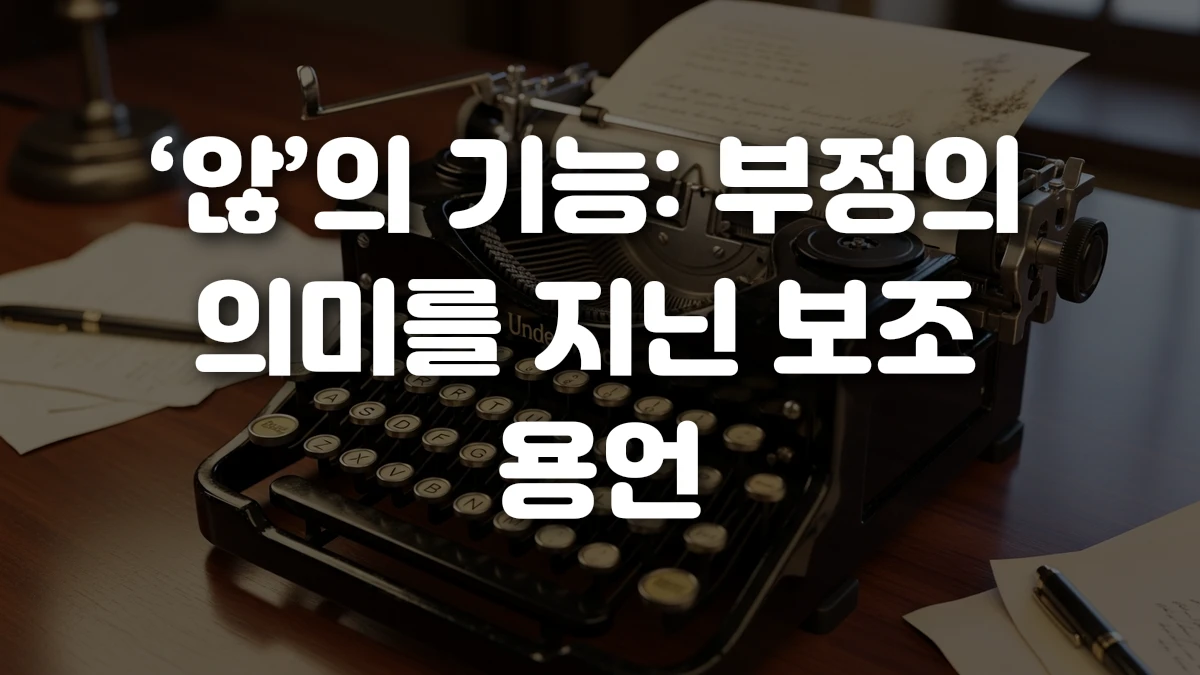 않 의 기능 부정의 의미를 지닌 보조 용언