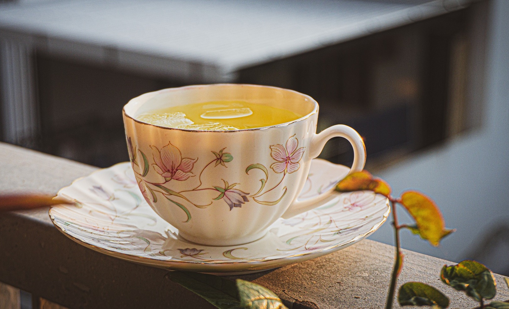 인생이 늦은 게 아니라, 이제야 내 속도가 보이는 나이!