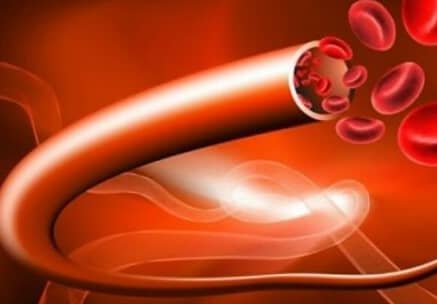 혈관 건강 이미지