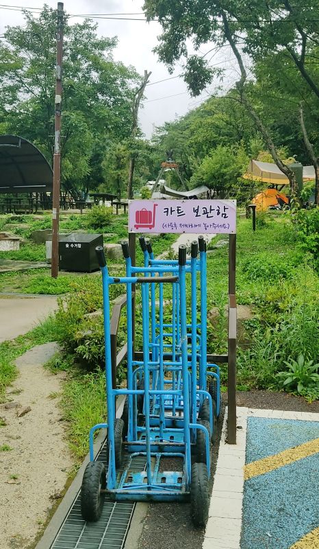 주차장 근처에 배치되어있는 카트