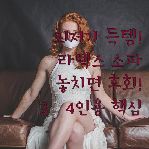 서광퍼니처 라텍스 소파 5종 가성비 ..