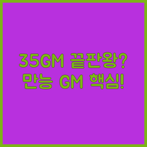 소니 35GM F1.4 후회 없는 선..