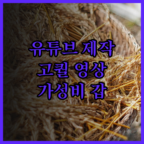 전문 유튜브 영상 제작 서비스 놀라운