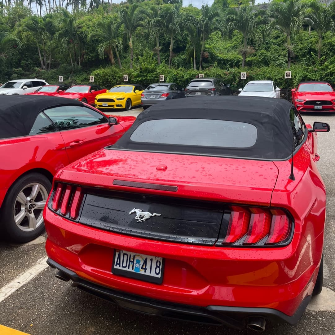 사이판 렌트카 머스탱