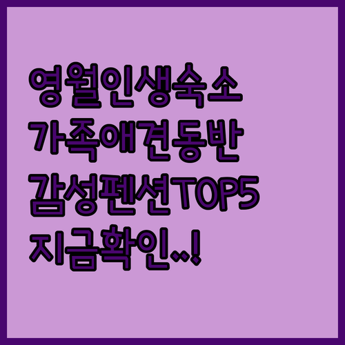 영월 가족 여행 숙소 추천 애견 동반..