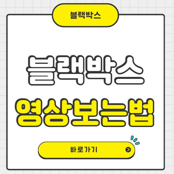 블랙박스 영상 보는 법