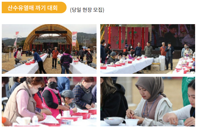 구례 산수유축제
