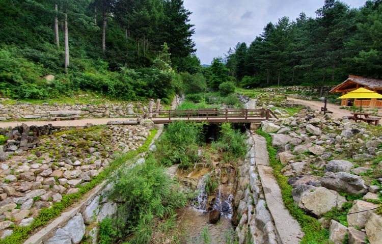 백두대간 수목원