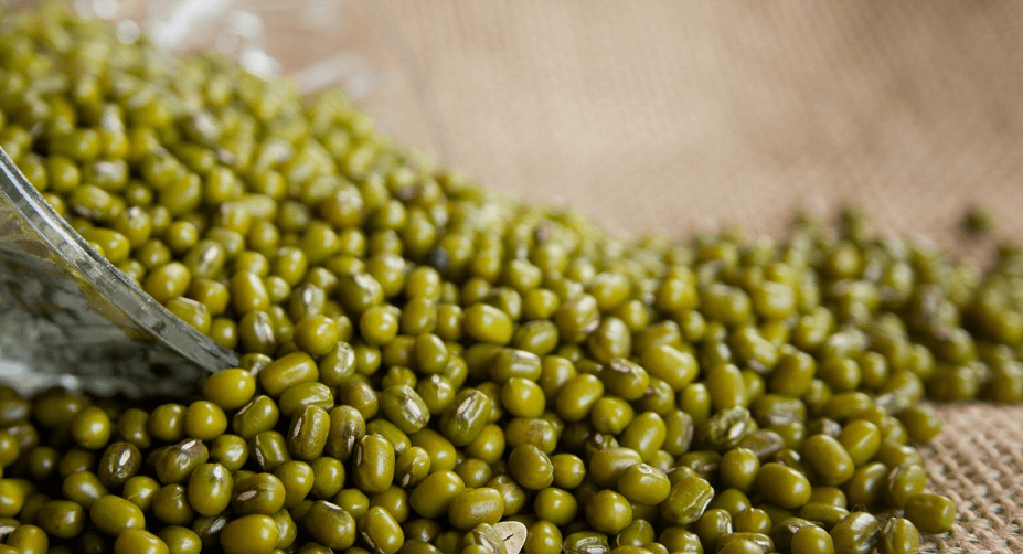 더위에 좋은 음식 - 15