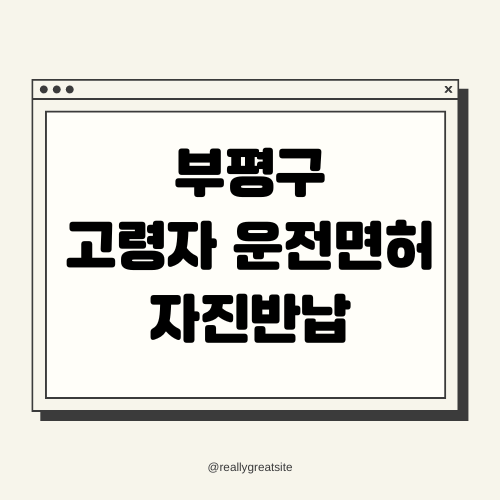 부평구 고령자 운전면허 자진반납