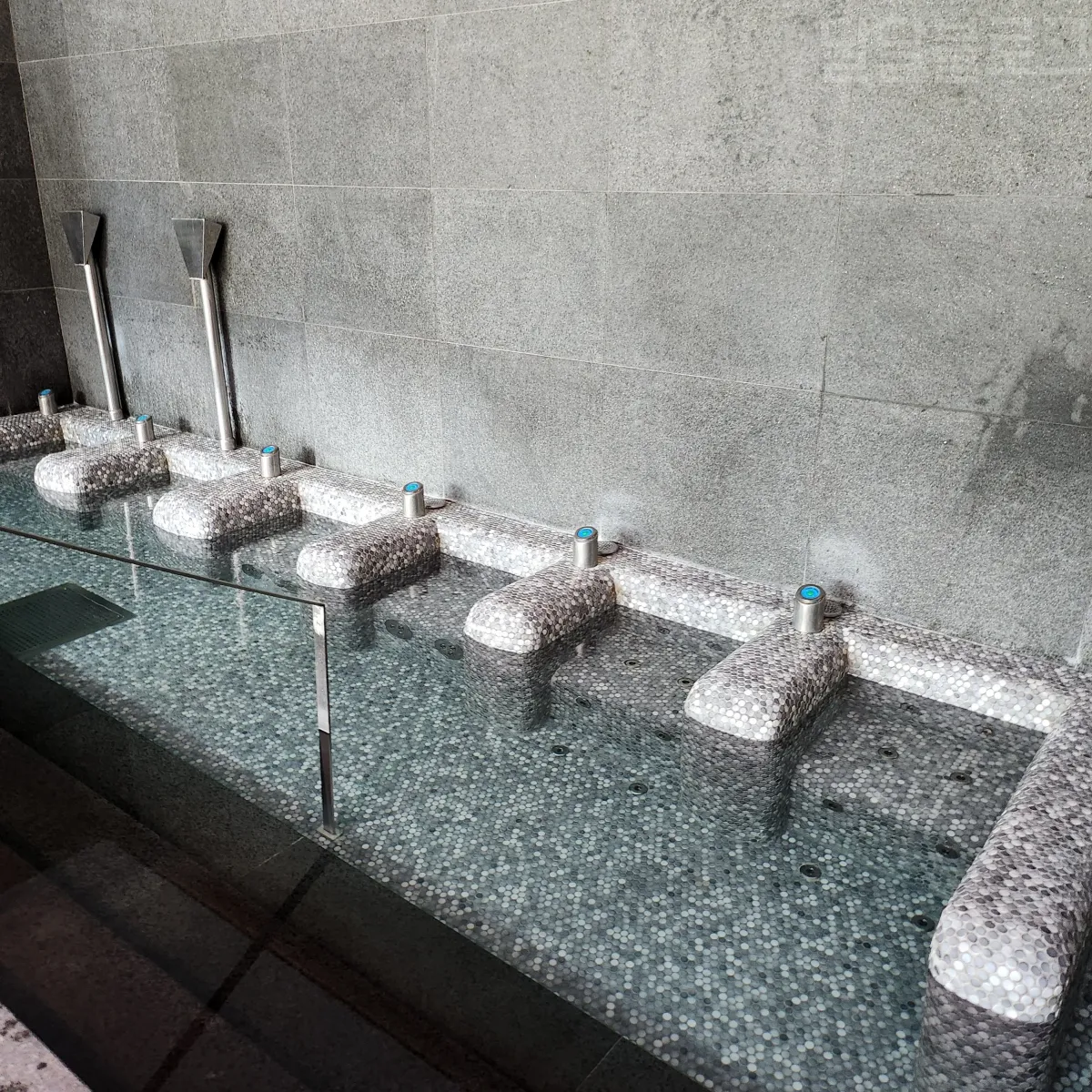 정선-파크로쉬-수영장