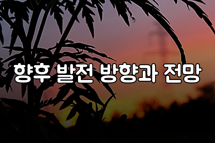 향후 발전 방향과 전망