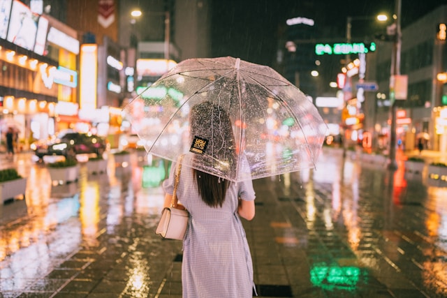 폭우피해주의보