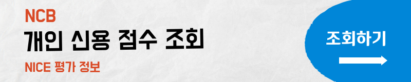 개인신용점수조회