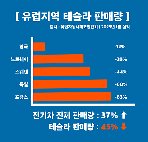 유럽지역 테슬라 판매 급감 그래프
