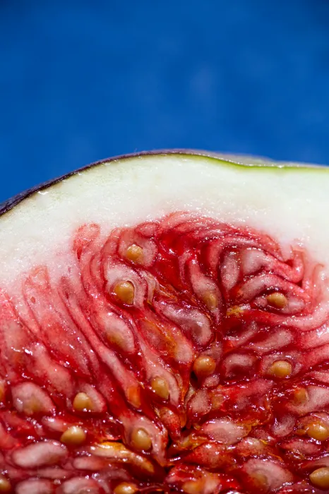 빨간-속살의-무화과