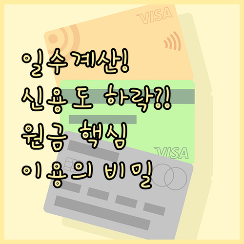 현금서비스 일수 계산의 비밀 이용 원..