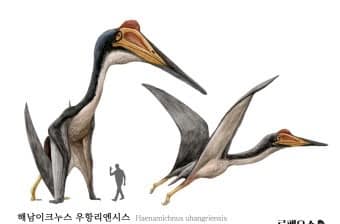  2024 해남 공룡대축제 특징