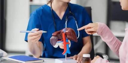 간염 관련 사진