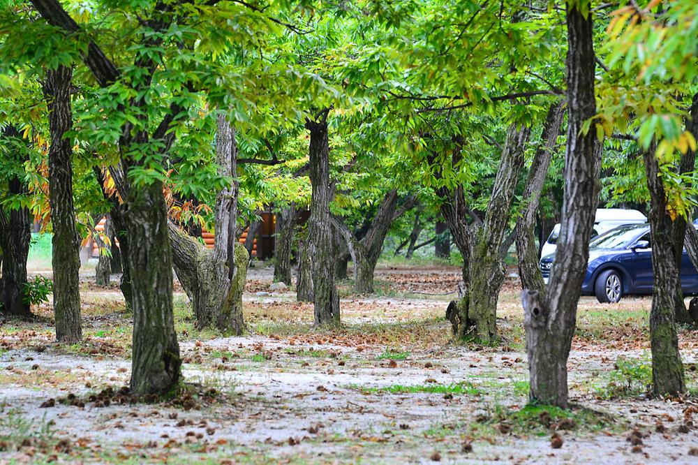 가평 '무지개 서는 마을' 캠핑장 소개