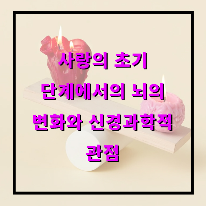 사랑의 초기 단계에서의 뇌의 변화와 신경과학적 관점