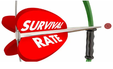 췌장암 생존율 (최근 통계와 치료 변화)