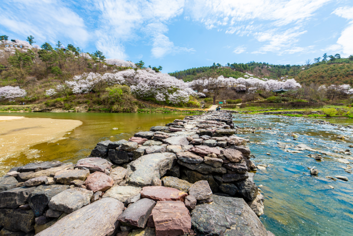 진천 농다리 축제