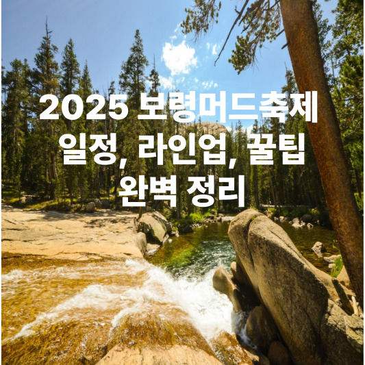 2025 보령머드축제 : 일정, 라인업, 꿀팁, 완벽 정리