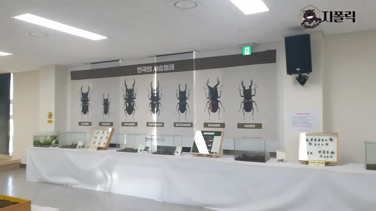 곤충체험전시관-2층-한국의사슴벌레