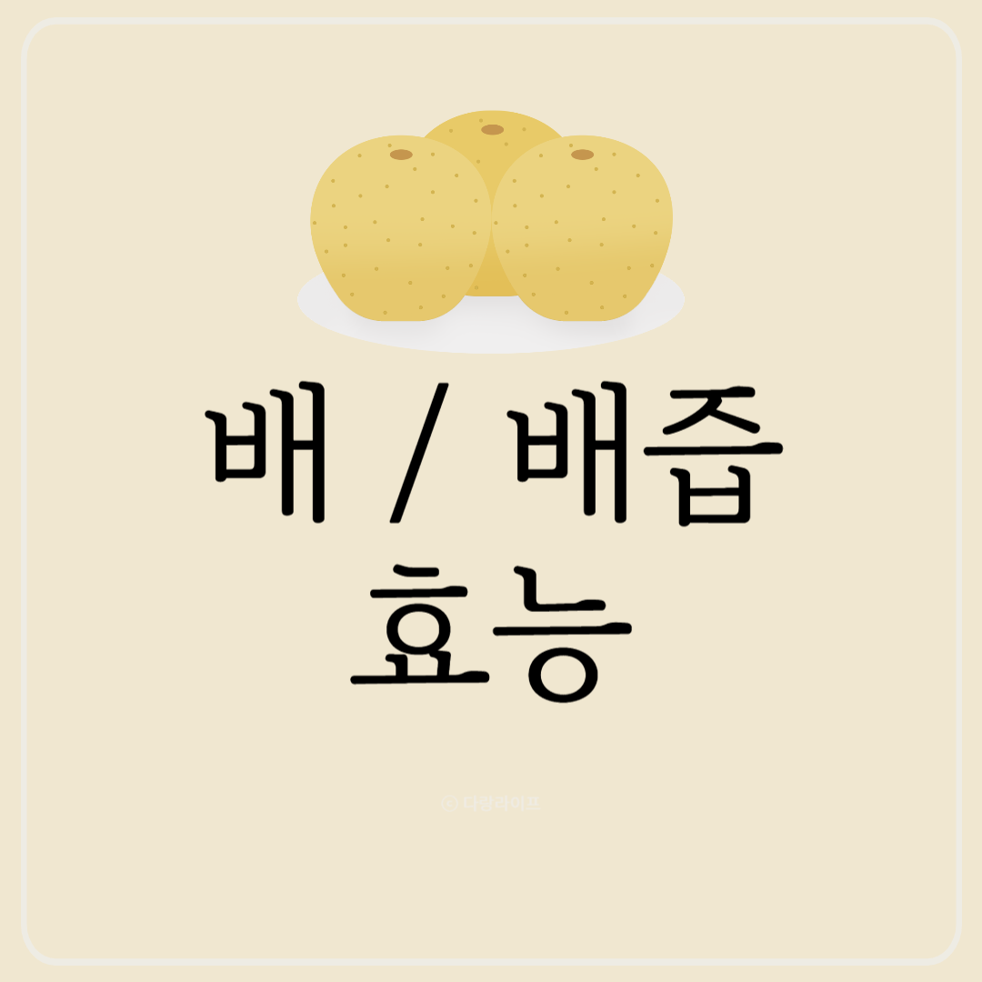 배 배즙 효능 과일 배 효과 장점 효능