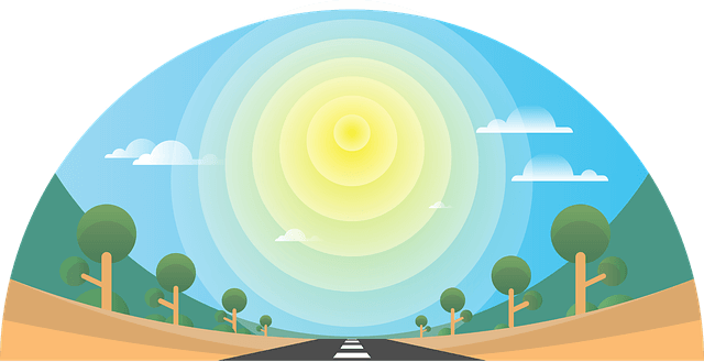 햇빛을 보면 뇌가 깨어난다 &ndash; 자연광과 비타민 D의 역할