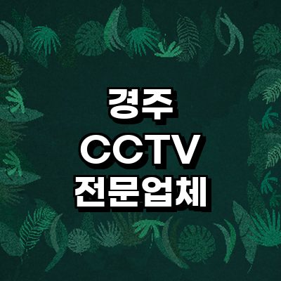 경주시 cctv