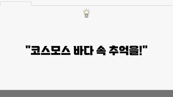 코스모스 정원의 전경