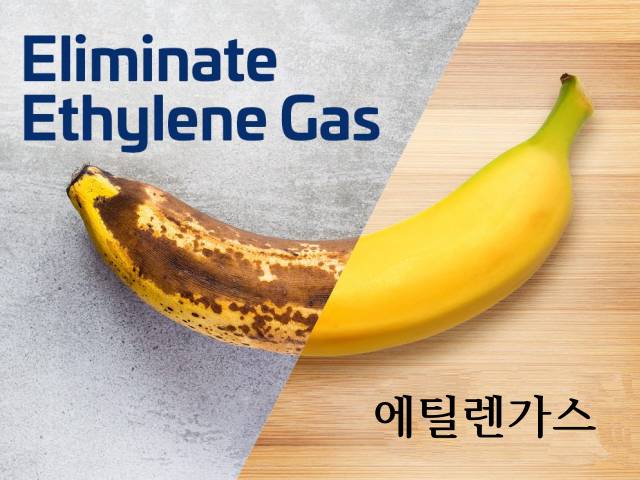 바나나 보관법,바나나 멍,바나나스탠드