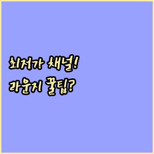 최저가 라운지 구매 채널과 현장 이용..