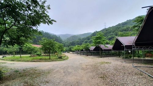 캠핑장-전경