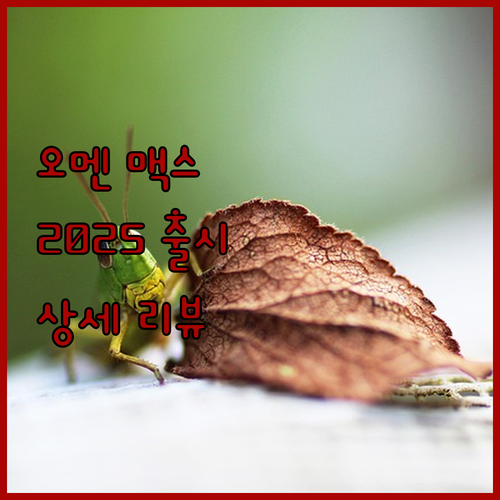 2025 HP 오멘 맥스 16 게이밍..